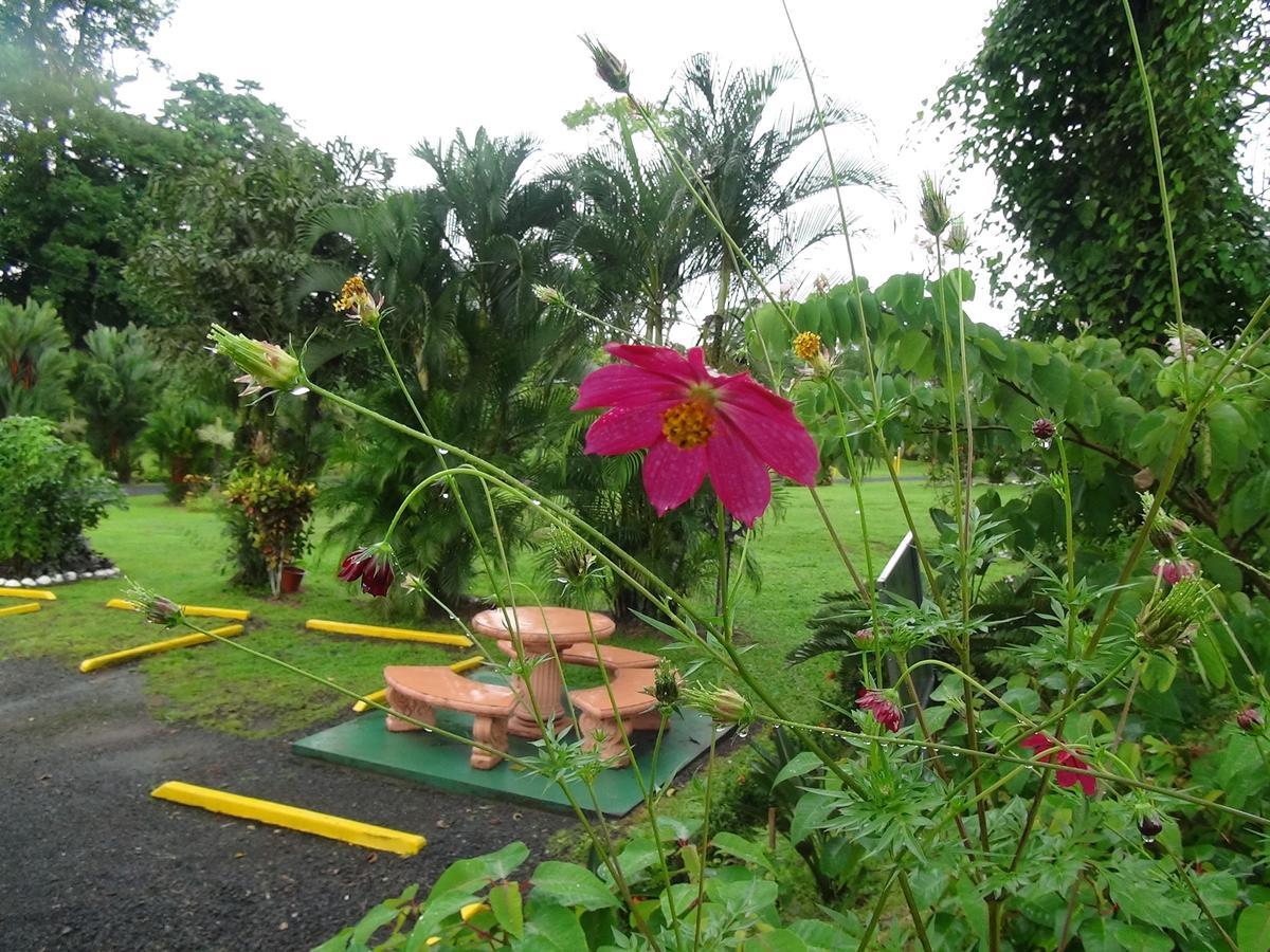 Hotel Vista al Tortuguero Cariari  Habitación foto